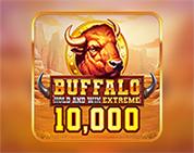 Buffalo Hold And Win Extreme 10000 Buffalo Hold And Win Extreme 10000