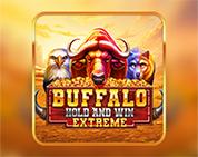 Buffalo Hold And Win Extreme Buffalo Hold And Win Extreme