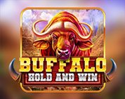 Buffalo Hold And Win Buffalo Hold And Win