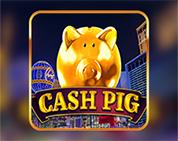 Cash Pig Cash Pig