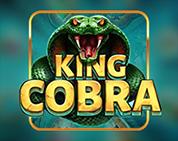 King Cobra King Cobra