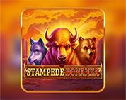 Stampede Bonanza Stampede Bonanza