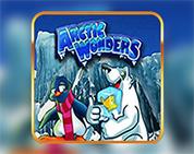 Arctic Wonders Arctic Wonders