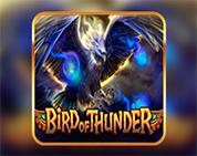 Bird of Thunder Bird of Thunder