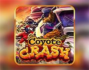 Coyote Crash Coyote Crash