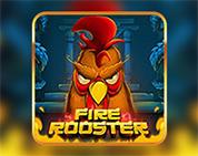 Fire Rooster Fire Rooster