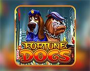 Fortune Dogs Fortune Dogs