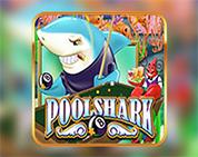 Pool Shark Pool Shark