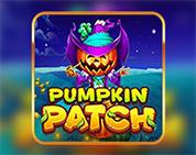 Pumpkin Patch Pumpkin Patch