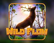 Wild Flow Wild Flow