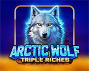 Arctic Wolf Triple Riches Arctic Wolf Triple Riches