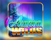 Aurora Wilds Aurora Wilds