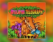 Bush Telegraph Bush Telegraph