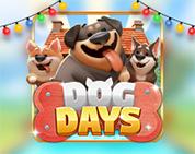 Dog Days Dog Days