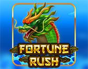 Fortune Rush Fortune Rush