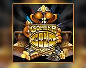 Gopher Gold Gopher Gold
