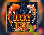 Lucky Koi Lucky Koi