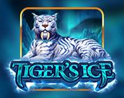 Tiger`s Ice Tiger`s Ice