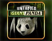 Untamed - Giant Panda Untamed - Giant Panda