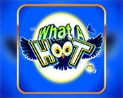 What A Hoot What A Hoot