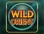 Wild Orient Wild Orient