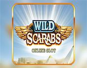 Wild Scarabs Wild Scarabs