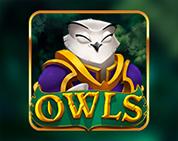 Owls Owls