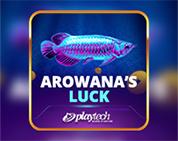 Arowana`s Luck Arowana`s Luck