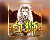 Bai Shi Bai Shi