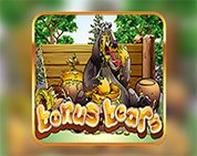 Bonus Bears Bonus Bears