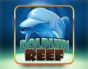 Dolphin Reef Dolphin Reef