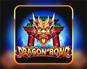 Dragon Bond Dragon Bond
