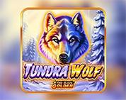 Fire Blaze: Tundra Wolf Fire Blaze: Tundra Wolf