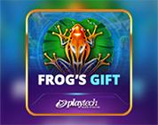 Frogs Gift Frogs Gift