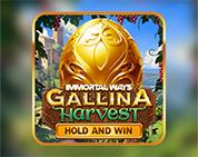 Immortal Ways Gallina Harvest Immortal Ways Gallina Harvest