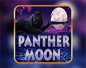 Panther Moon Panther Moon