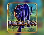 Panther Pays Panther Pays