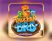Power Zones™: Thunder Birds Power Zones™: Thunder Birds