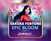 Sakura Fortune Epic Bloom Sakura Fortune Epic Bloom