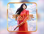 Sakura Fortune Sakura Fortune