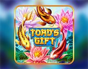 Toad`s Gift Toad`s Gift