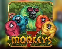 7 Monkeys 7 Monkeys