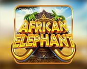 African Elephant African Elephant