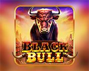 Black Bull Black Bull
