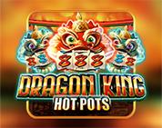 Dragon King Hot Pots Dragon King Hot Pots