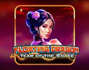 Floating Dragon - Year of the Snake Floating Dragon - Year of the Snake
