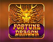 Fortune Dragon PP Fortune Dragon PP