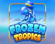 Frozen Tropics Frozen Tropics