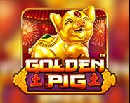 Golden Pig Golden Pig