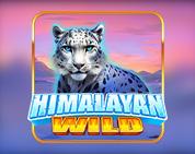 Himalayan Wild Himalayan Wild